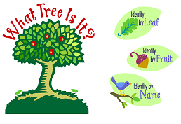 tree with apples growing on it with red text