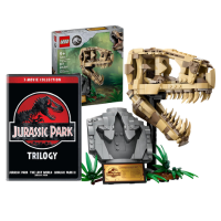 lego and dvd kit