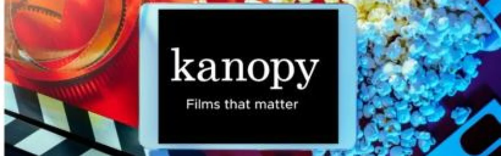 bright red and blue on each side of black and white logo