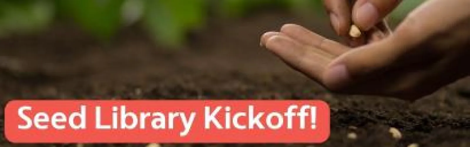 close up of hand planting a seed in the moist, dark dirt 