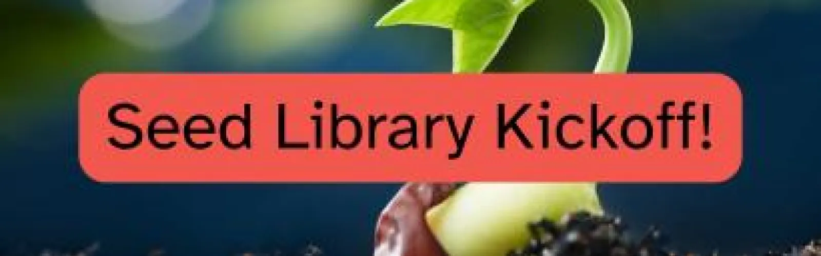 seed growing into plant with seed husk still on plant